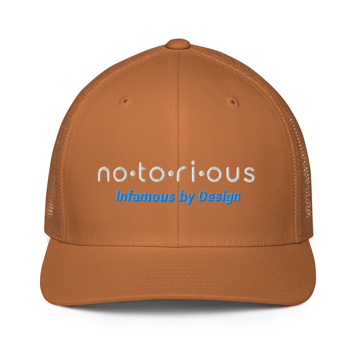 Notorious Tee Closed-back trucker cap