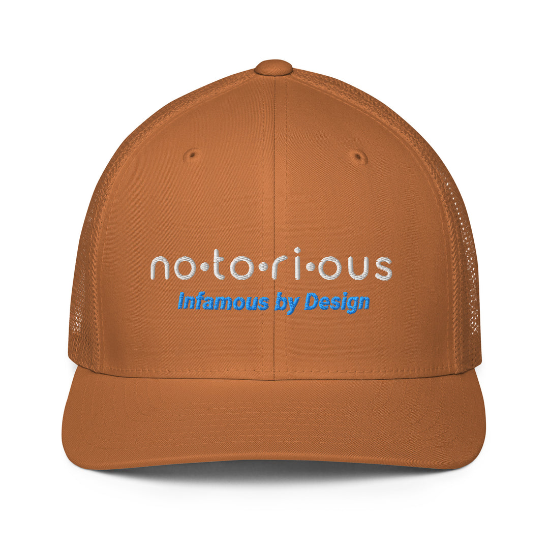 Notorious Tee Closed-back trucker cap