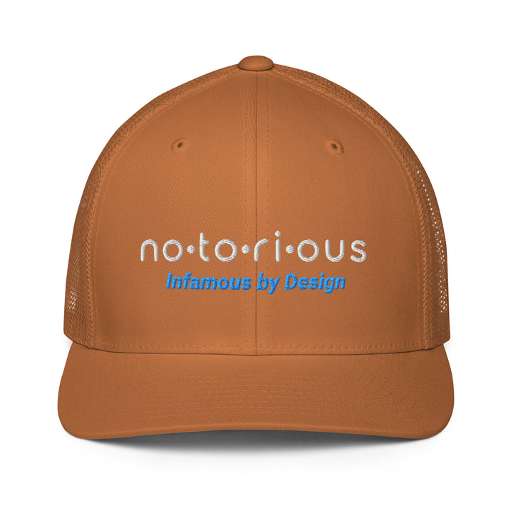 Notorious Tee Closed-back trucker cap