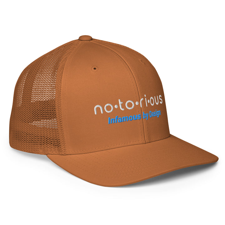 Notorious Tee Closed-back trucker cap